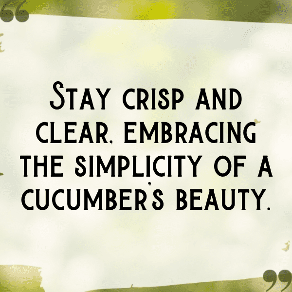 287+ Cucumber Captions For Instagram (Trending, Funny & Top) 10 Cucumber Captions Photo For Instagram-Vu1zhe