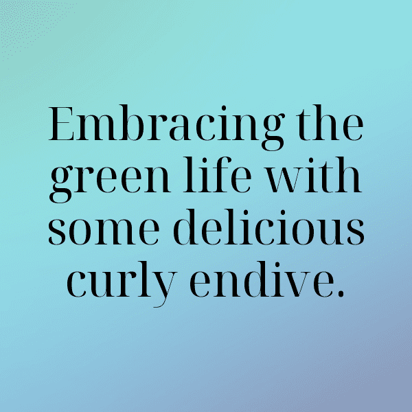 Curly Endive Captions Image For Instagram-JvvG8p