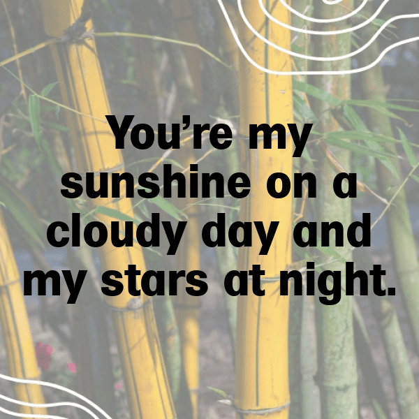 Cute Captions Photo For Instagram-KAPaRf