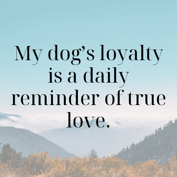 Cute Pet Photos Captions Image For Instagram-AaJ2Wh