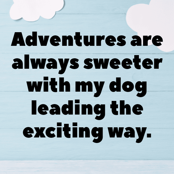 Cute Pet Photos Captions Image For Instagram-aKyahz