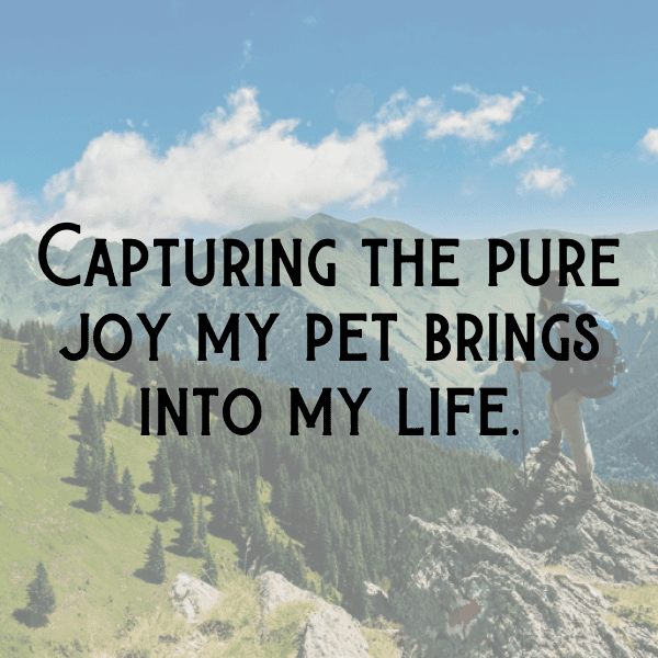 Cute Pet Photos Captions Photo For Instagram-3PoU9H