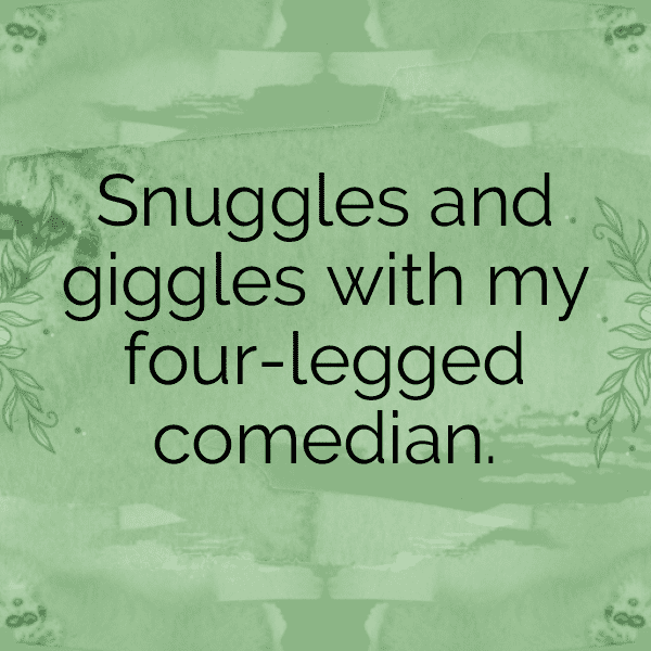 Cute Pet Photos Captions Photo For Instagram-aqyPcN