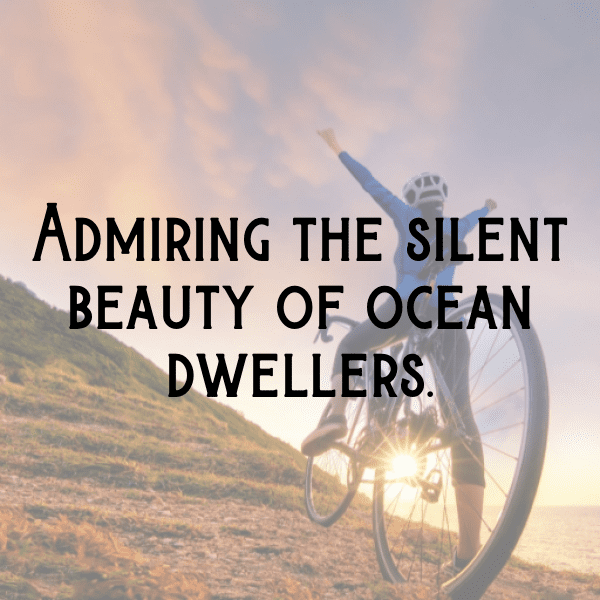 Cuttlefish Captions Image For Instagram-1IUDyd