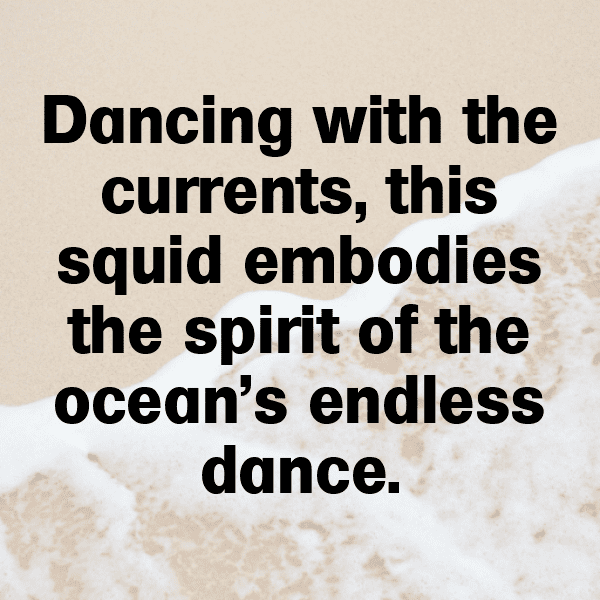 Cuttlefish Captions Photo For Instagram-W3kV6Z