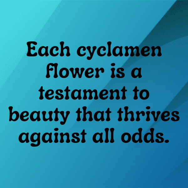 319+ Cyclamen Captions For Instagram (Short, Trending & Viral) 8 Cyclamen Captions Image For Instagram-CrQ4XK