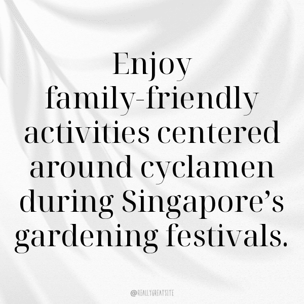 319+ Cyclamen Captions For Instagram (Short, Trending & Viral) 9 Cyclamen Captions Image For Instagram-jrvIXS