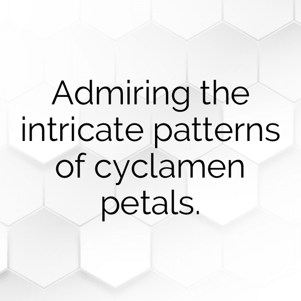 319+ Cyclamen Captions For Instagram (Short, Trending & Viral) 5 Cyclamen Captions Photo For Instagram-a5WtJm