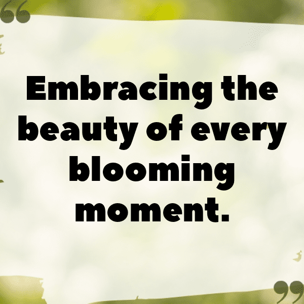 Daffodil Captions Image For Instagram-r98nFA