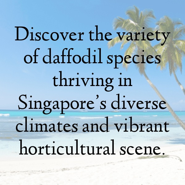 Daffodil Captions Photo For Instagram-Gur2C2