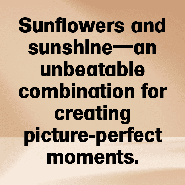 Daffodil Captions Photo For Instagram-MxWxa5