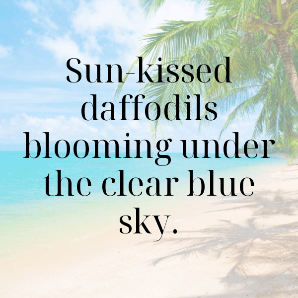 Daffodil Captions Photo For Instagram-snzEUG