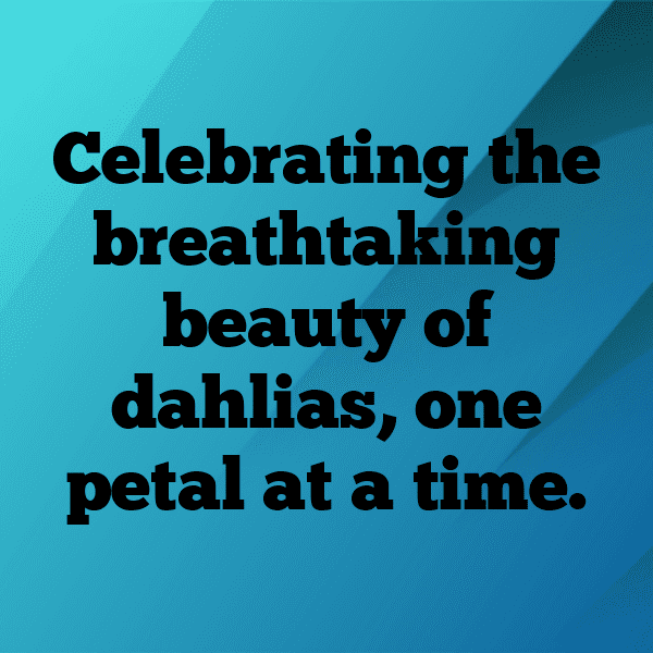 Dahlia Captions Image For Instagram-2yPB9C