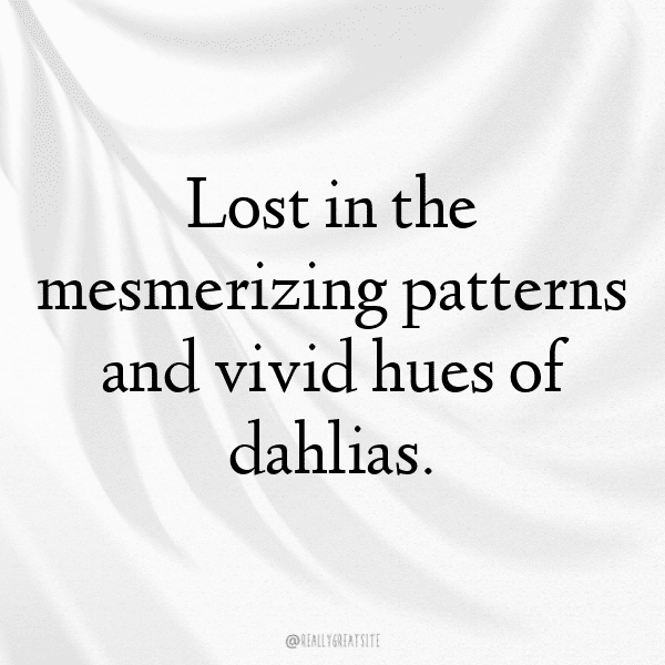 Dahlia Captions Photo For Instagram-nDXcM8