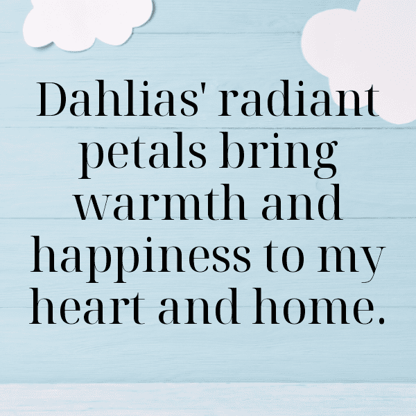 Dahlia Captions Photo For Instagram-OGwOUZ