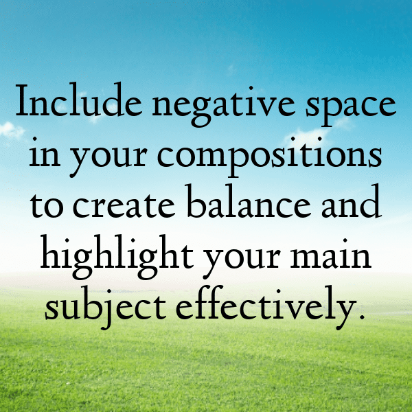 227+ Daikon Radish Captions For Instagram (Best, Funny & Short) 4 Daikon Radish Captions Image For Instagram-n3ltgq