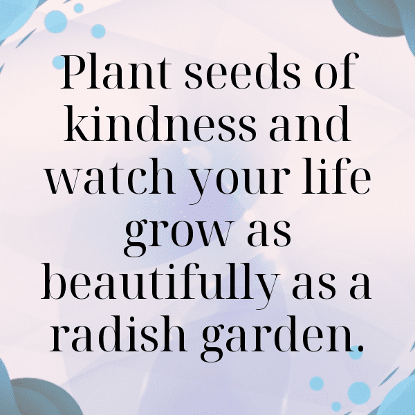 227+ Daikon Radish Captions For Instagram (Best, Funny & Short) 3 Daikon Radish Captions Photo For Instagram-8u9i9X