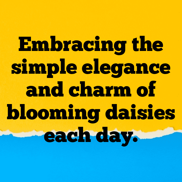 Daisy Captions Image For Instagram-hiQWCD