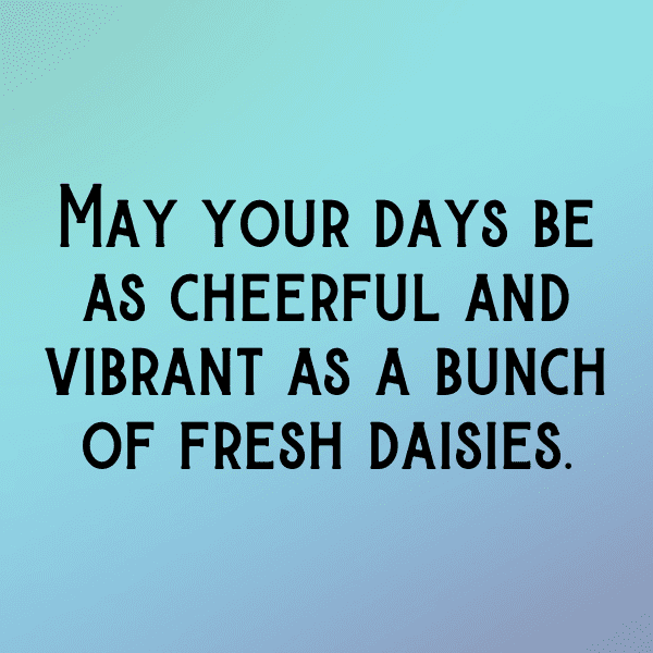 Daisy Captions Image For Instagram-m6zZav