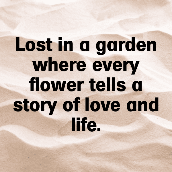 Daisy Captions Image For Instagram-mVy804