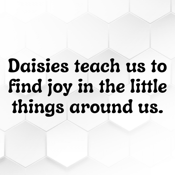 Daisy Captions Image For Instagram-n1LDgv