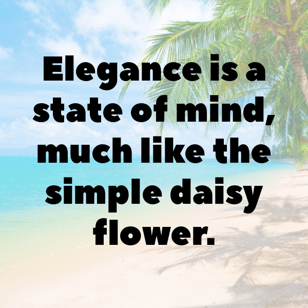 Daisy Captions Photo For Instagram-RRCbR2