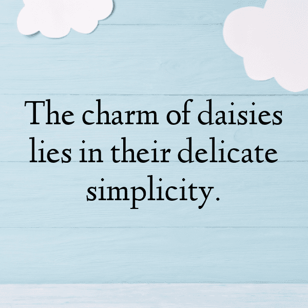 Daisy Captions Photo For Instagram-UASvzt