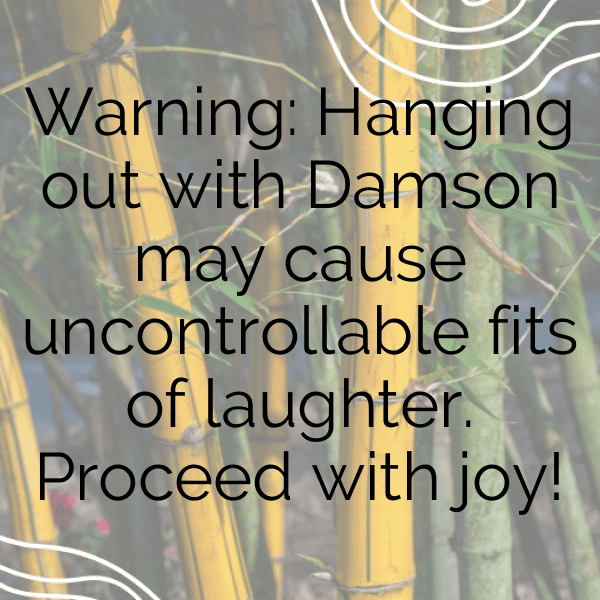 Damson Captions Image For Instagram-DJ2oer