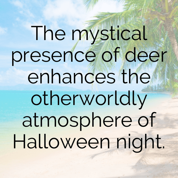 341+ Deer Captions For Instagram (Fresh & Trendy) 5 Deer Captions Image For Instagram-3gaEbn