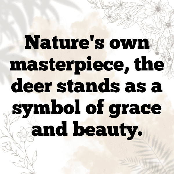 341+ Deer Captions For Instagram (Fresh & Trendy) 6 Deer Captions Image For Instagram-BHTJt2