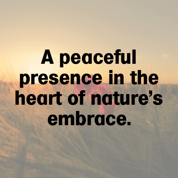 341+ Deer Captions For Instagram (Fresh & Trendy) 21 Deer Captions Image For Instagram-r6vnv8