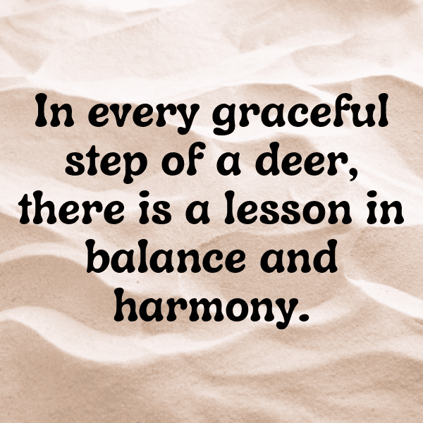 341+ Deer Captions For Instagram (Fresh & Trendy) 15 Deer Captions Image For Instagram-ZACR1o