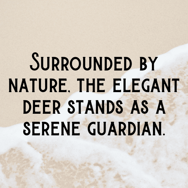 341+ Deer Captions For Instagram (Fresh & Trendy) 8 Deer Captions Photo For Instagram-18wYGu