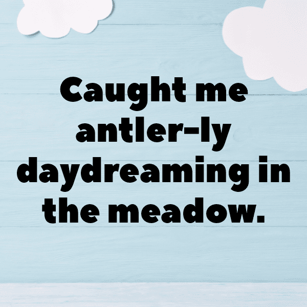 341+ Deer Captions For Instagram (Fresh & Trendy) 17 Deer Captions Photo For Instagram-i8faFs