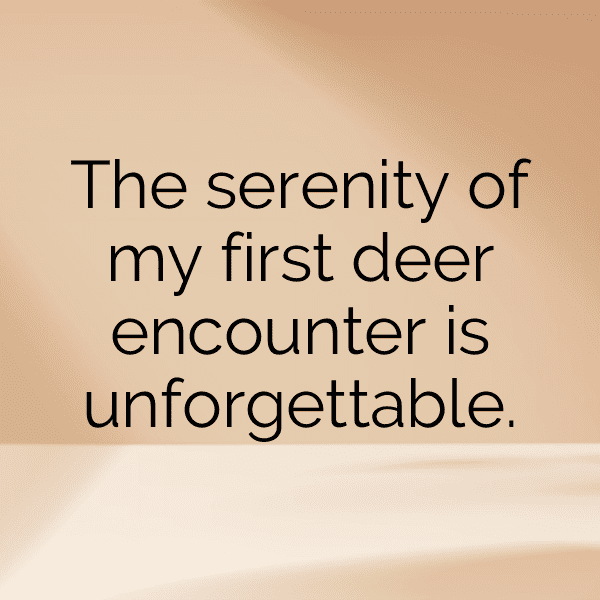 341+ Deer Captions For Instagram (Fresh & Trendy) 16 Deer Captions Photo For Instagram-txao9P