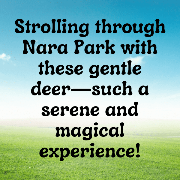 341+ Deer Captions For Instagram (Fresh & Trendy) 18 Deer Captions Photo For Instagram-woOrml