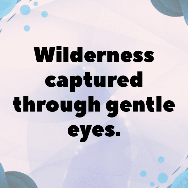 341+ Deer Captions For Instagram (Fresh & Trendy) 20 Deer Captions Photo For Instagram-WS7nAp