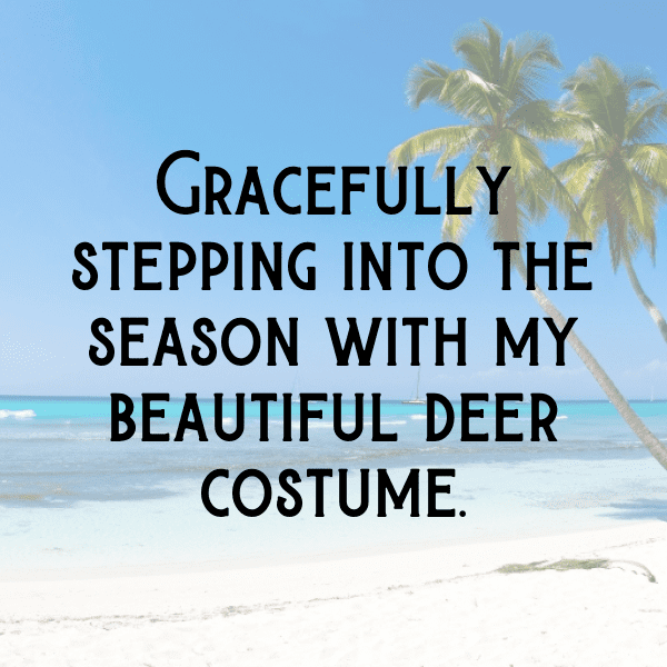 341+ Deer Captions For Instagram (Fresh & Trendy) 13 Deer Captions Photo For Instagram-zWuIp7