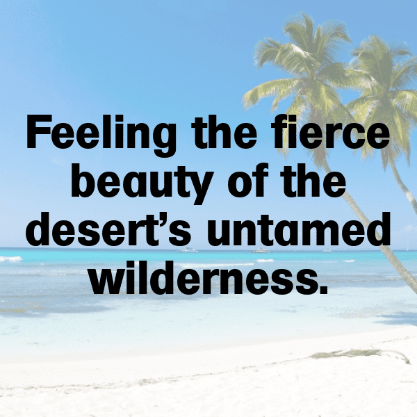 Desert Exploration Captions Photo for Instagram-lu2am6