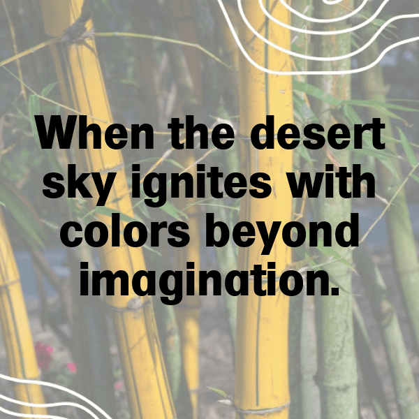 252+ Desert Sunset Captions for Instagram In 2025 15 Desert Sunset Captions Image for Instagram-1SwsOM