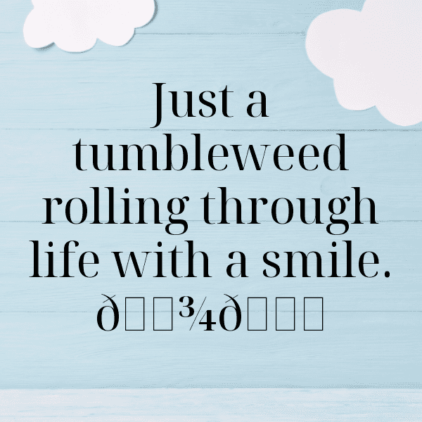 252+ Desert Sunset Captions for Instagram In 2025 6 Desert Sunset Captions Photo for Instagram-1KFBdW