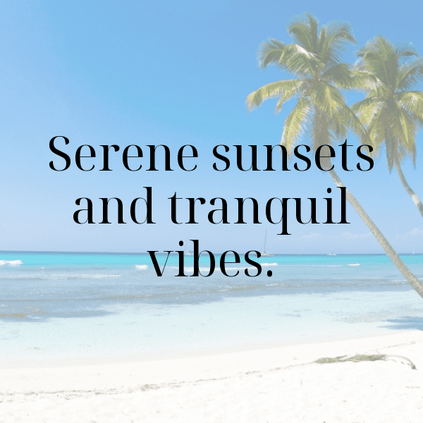 252+ Desert Sunset Captions for Instagram In 2025 17 Desert Sunset Captions Photo for Instagram-Dg37rF