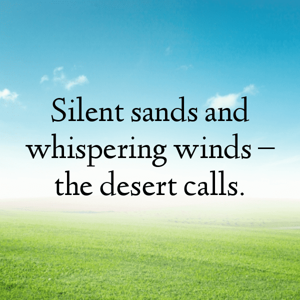 252+ Desert Sunset Captions for Instagram In 2025 9 Desert Sunset Captions Photo for Instagram-GhJbL8