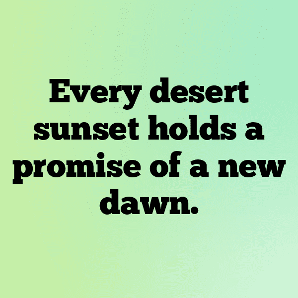 252+ Desert Sunset Captions for Instagram In 2025 10 Desert Sunset Captions Photo for Instagram-UPRkpZ