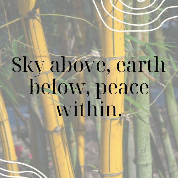 306+ Dewberry Captions For Instagram In 2025 9 Dewberry Captions Image For Instagram-KdE4JL