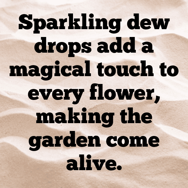 306+ Dewberry Captions For Instagram In 2025 12 Dewberry Captions Photo For Instagram-3b0Uem