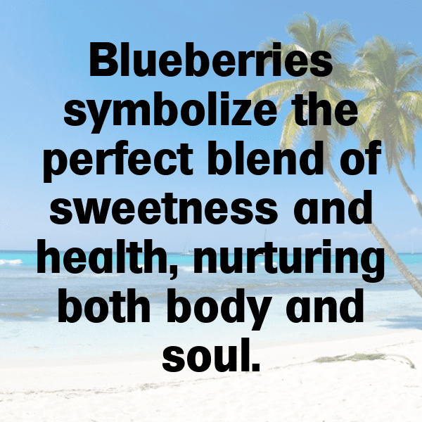 306+ Dewberry Captions For Instagram In 2025 3 Dewberry Captions Photo For Instagram-RtlJME