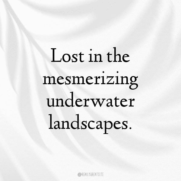 246+ Diving Captions for Instagram In 2025 10 Diving Captions Image for Instagram-IYvb5l