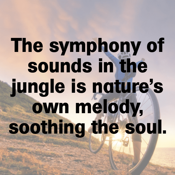 224+ Djibouti Captions For Instagram In 2025 6 Djibouti Captions Photo For Instagram-CNDHAA