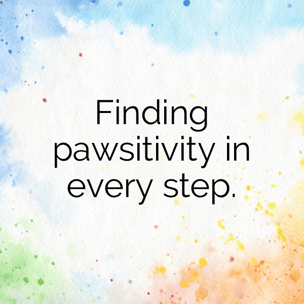 224+ Djibouti Captions For Instagram In 2025 5 Djibouti Captions Photo For Instagram-f5EYSk